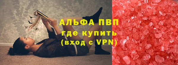 ПСИЛОЦИБИНОВЫЕ ГРИБЫ Вязники