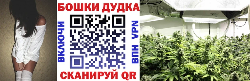 Бошки марихуана ГИДРОПОН  как найти закладки  Бикин 